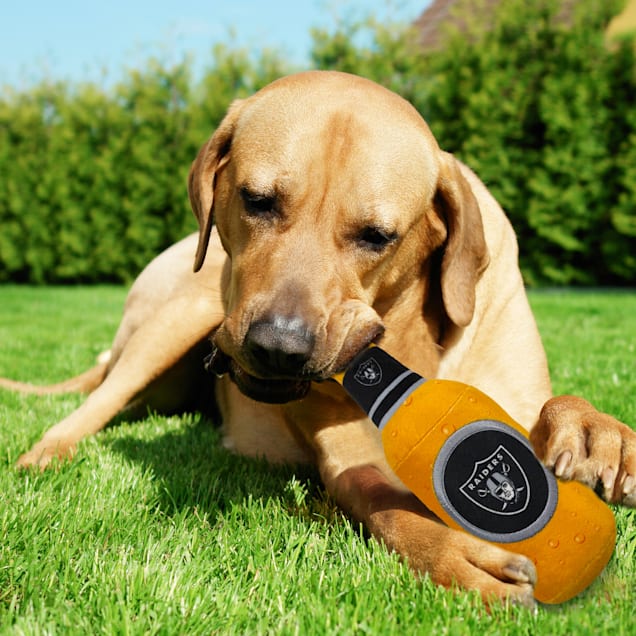 Water bottle dog toy petco deals