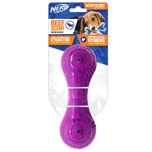 Nerf Purple Scented Beef Scentology Barbell Solid Core Dog Toy, Small - Carousel image #1