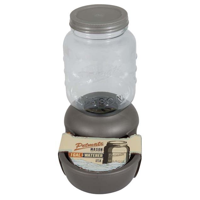 Mason jar pet waterer outlet