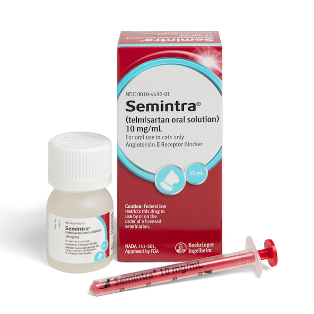 Semintra Oral Solution for Cats, 10MG/ML, 35ML - Carousel image #1