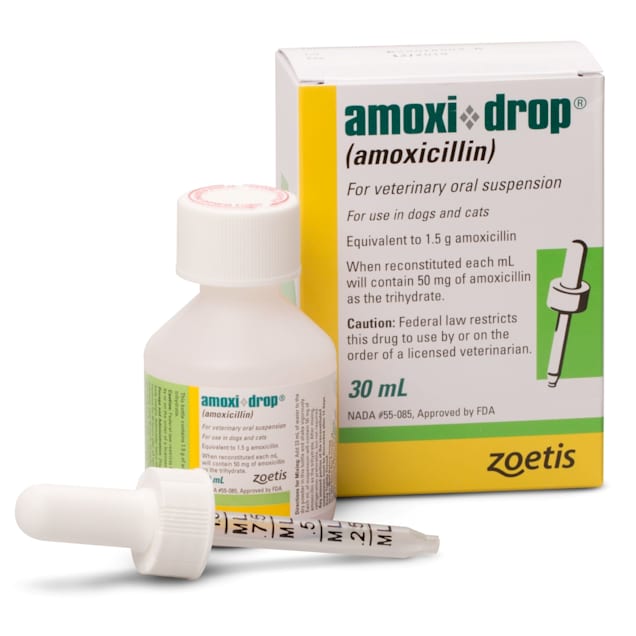 Amoxi Drop Amoxicillin Oral Suspension 30ml Petco