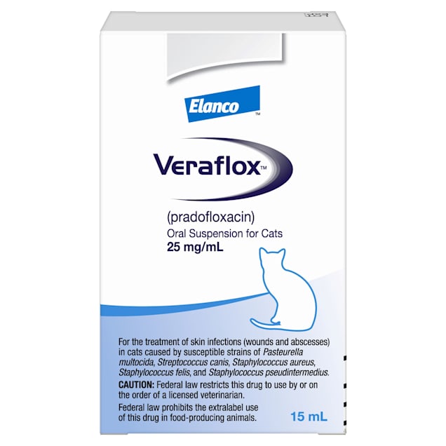 Oral antibiotics for cats outlet