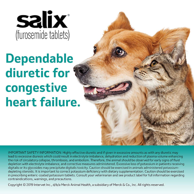 Salix 50 mg 60 Count Petco