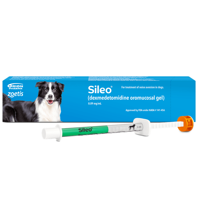 Gel sileo on sale