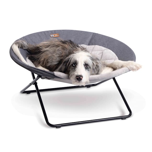 Petco dog cheap cot