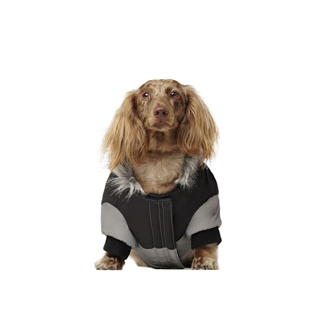 Large dog parka deals