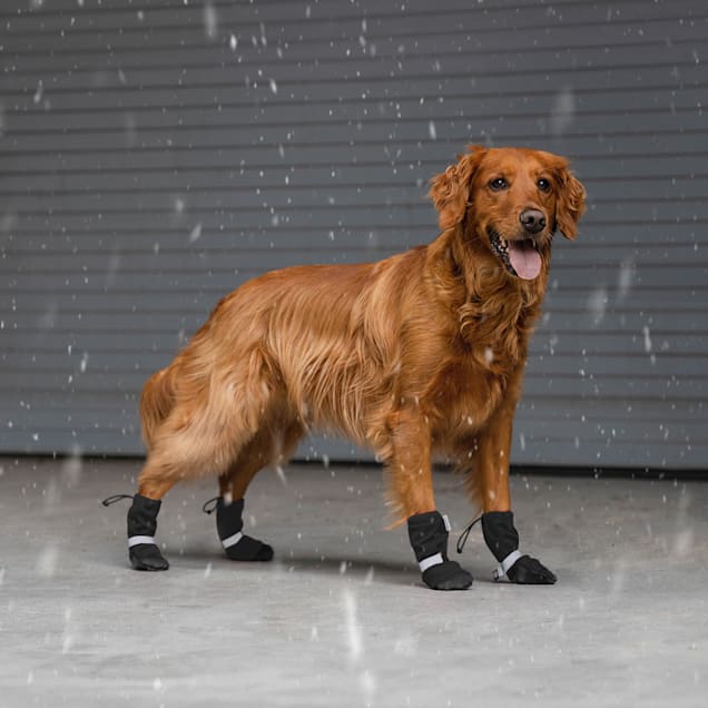 Canada Pooch Black Soft Shield Dog Boots Size 1 X Small Petco