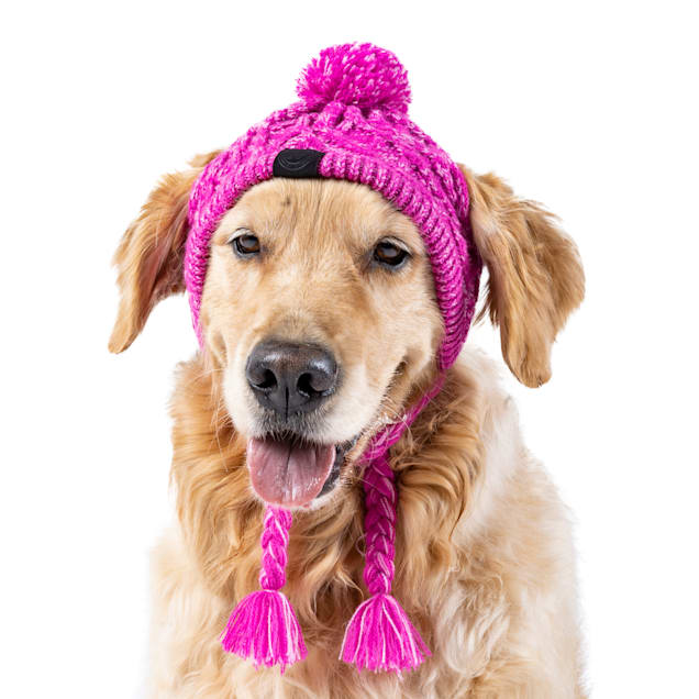 Dog hats cheap petco