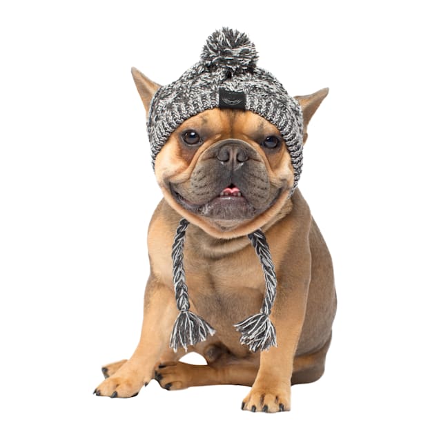 Canada Pooch Charcoal Polar Pom Pom Dog Hat, Small - Carousel image #1