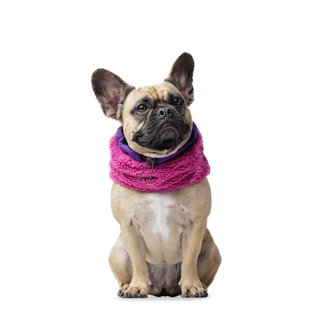 Canada Pooch Cool Factor Snood Pink and Purple for Dogs, Small - Carousel image #1