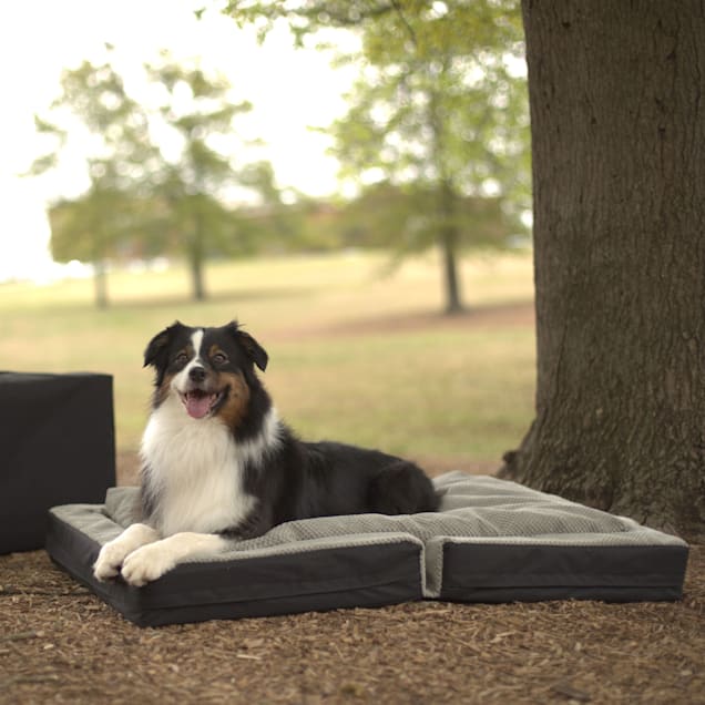 Dog bed in a on sale bag