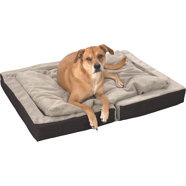 Dog cots petco sale