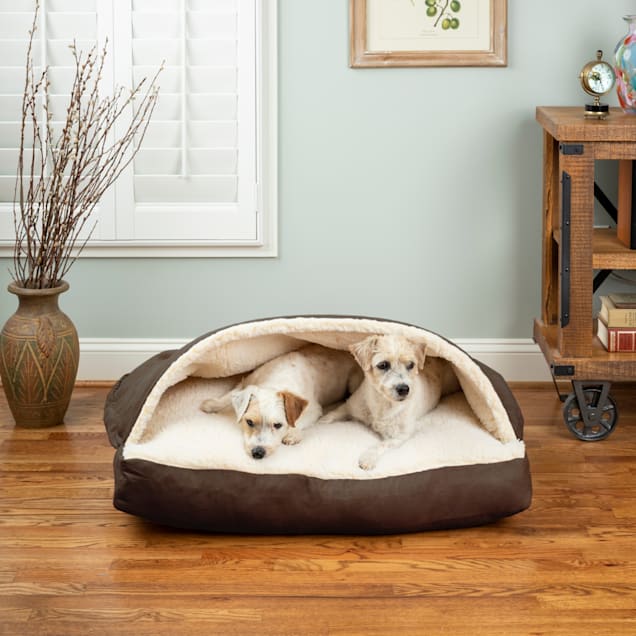 Dog in sales cave