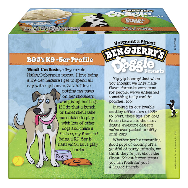 Ben and jerry's for dogs best sale
