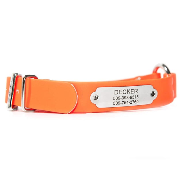 Waterproof Dog Collar with Riveted Nameplate