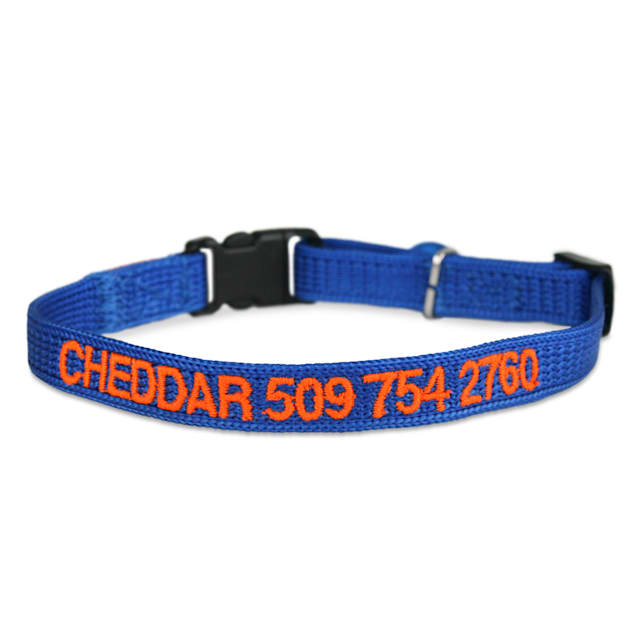 Personalized breakaway discount dog collar