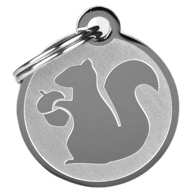 GoTags Personalized Squirrel Pet ID Tag for Dogs and Cats with Custom Engraving Regular