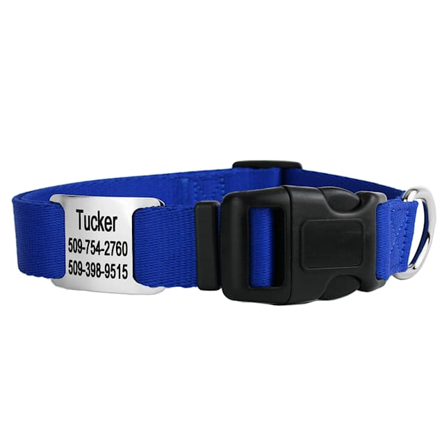 GoTags Nylon Personalized Dog Collar, Blue, X-Small: 8 to 12-in Neck, 3/8-in Wide