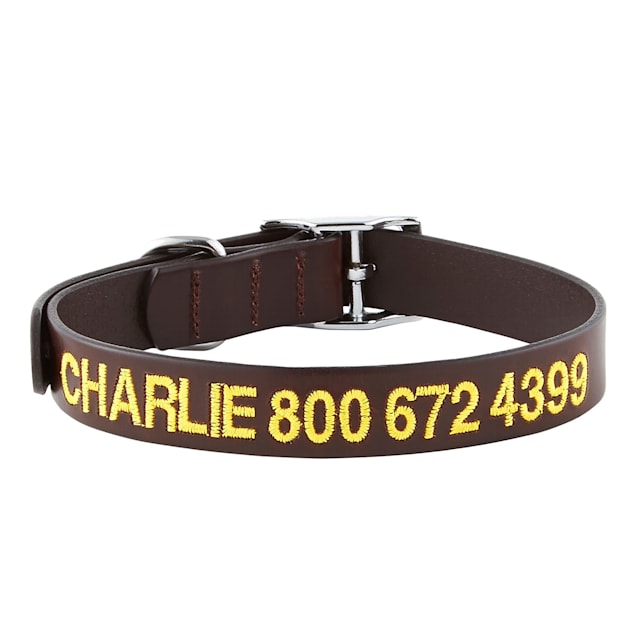 Personalized collars clearance