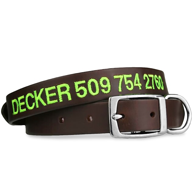 GoTags Personalized Leather Dark Brown Dog Collar with Custom