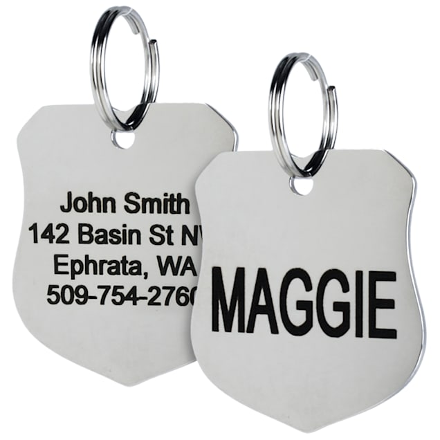 Free Engraving Free delivery Stainless steel Quality Trainer Tags 
