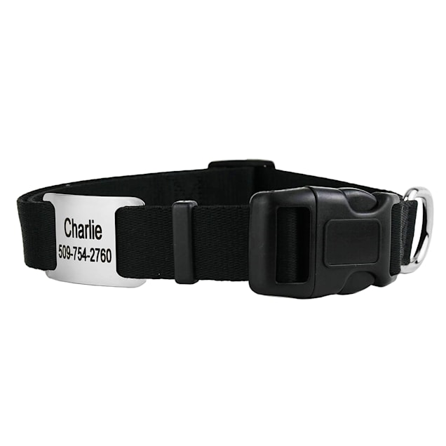 Dog collar 2024 with tag pocket