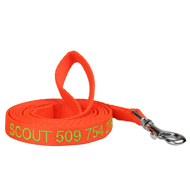 Personalized leash online