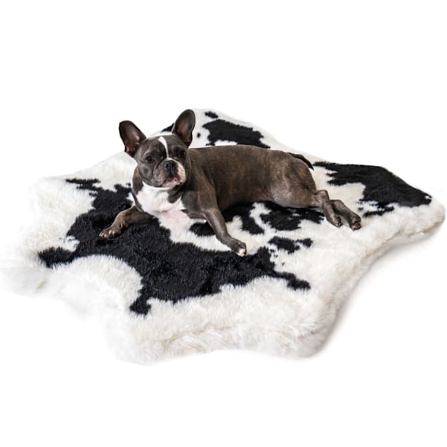 Memory foam dog sales rug