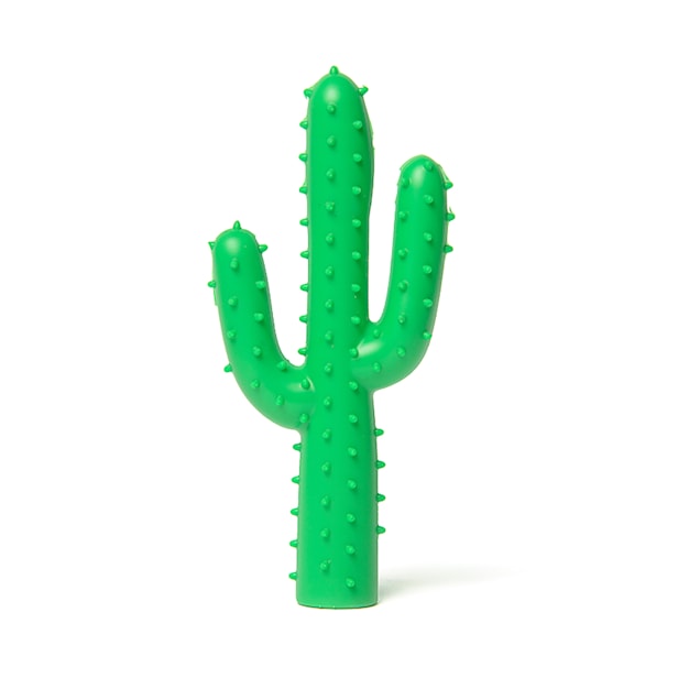 Cactus dog toy with another cactus inside sales