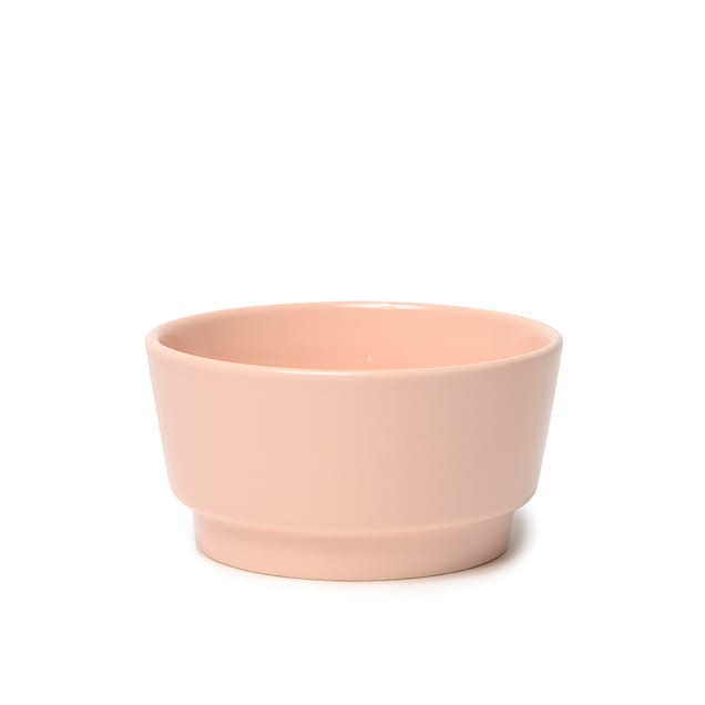 Waggo Rose Gloss Ceramic Dog Bowl, 4 Cup | Petco