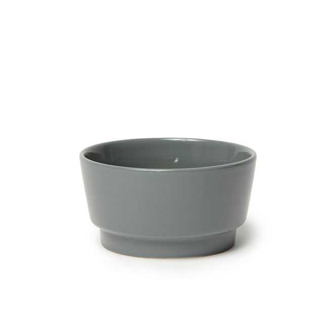 Petco ceramic dog bowls top