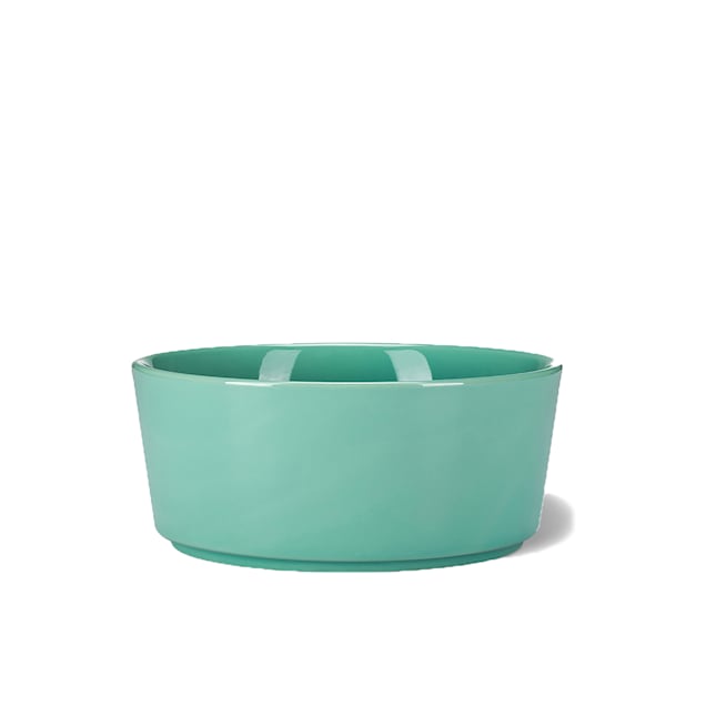 Petco ceramic dog bowls top