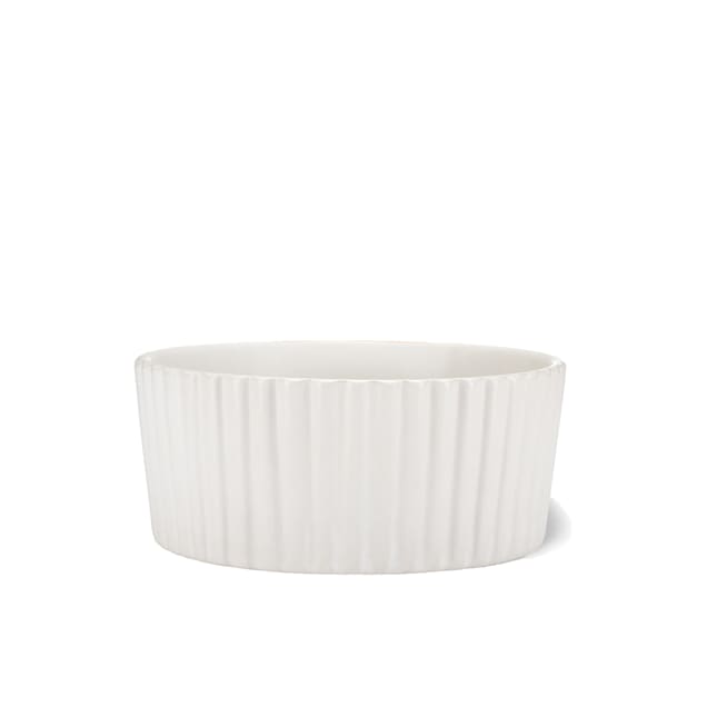 Petco ceramic dog bowls shop