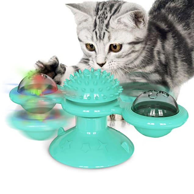 Petco interactive cat toys store