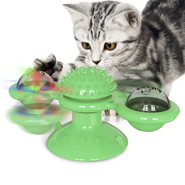Cat spin toy best sale