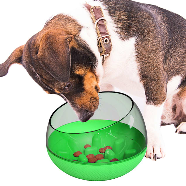 Slow eating dog bowl petco online