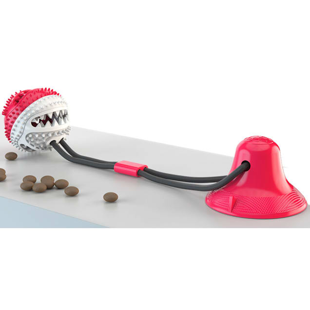 Pet Goods Manufacturing Louisville Cardinals Double Ball with Dog Toy Rope