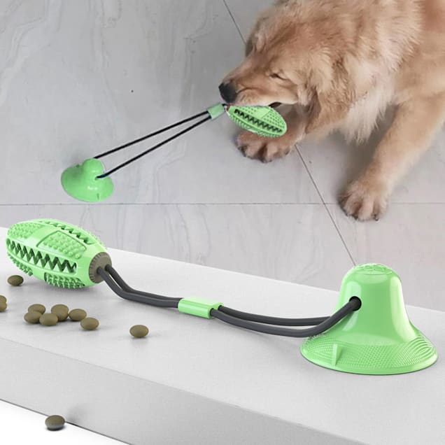 Dog toy that suctions hot sale to floor