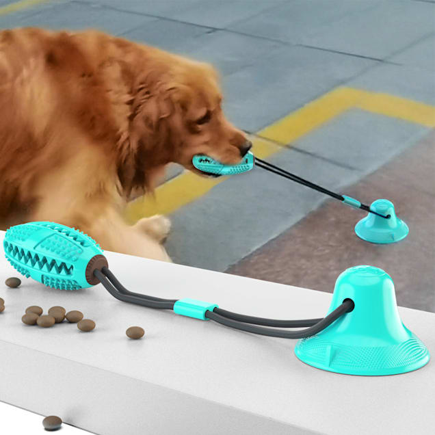 Suction cup sale dog toy