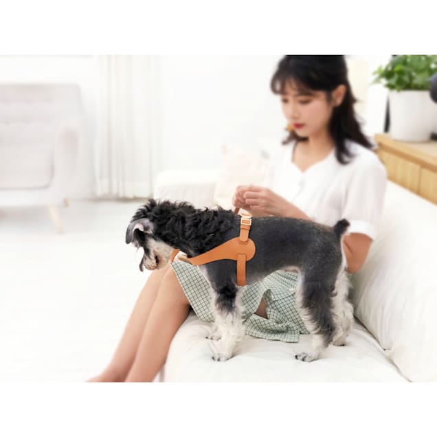 Petlife harness top