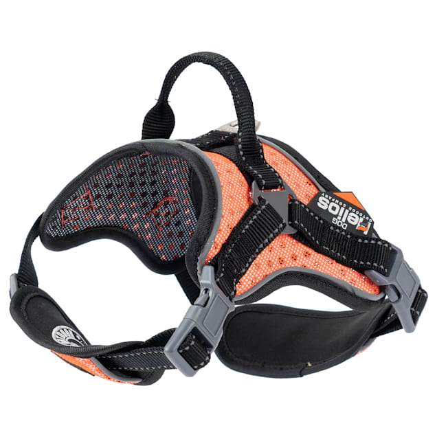 Helios shop dog harness