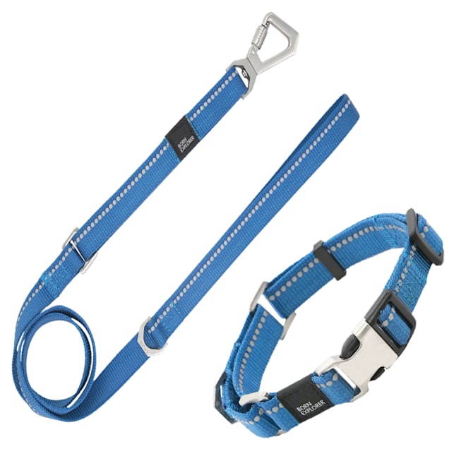 Petco dog discount collars and leashes