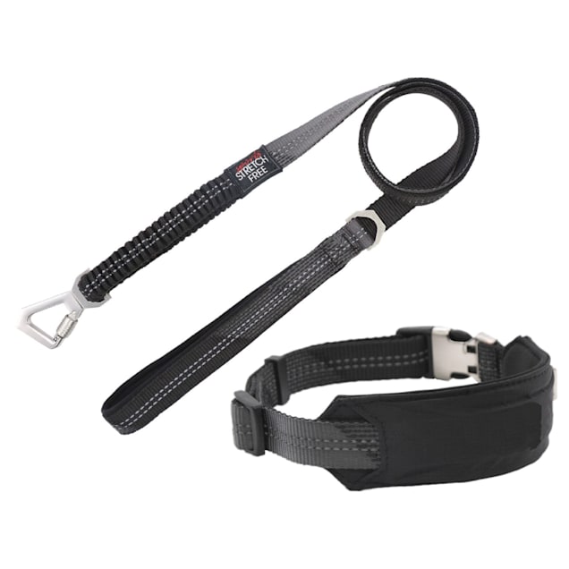 Black Nylon Pet Collar