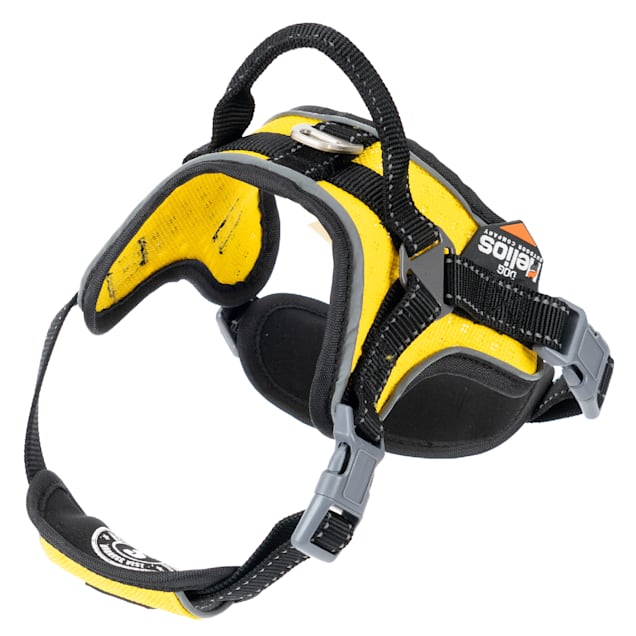 Helios discount dog harness