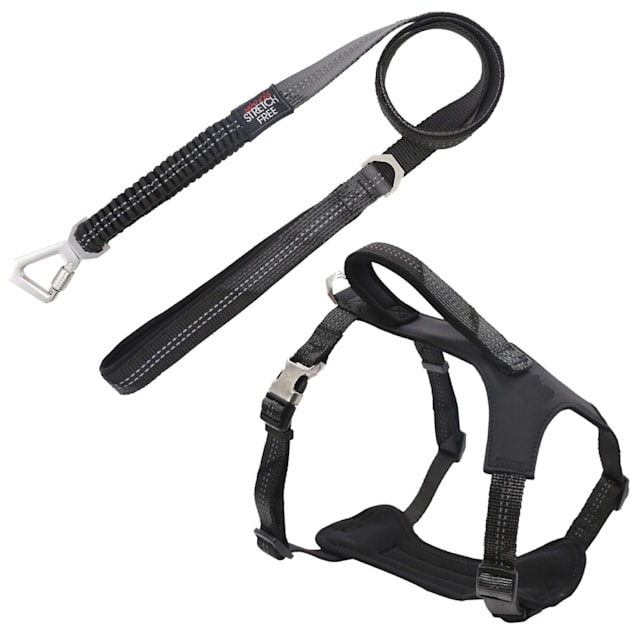 Buy Pet Leash With Pocket 1.2 M, Black Online - MyPetz