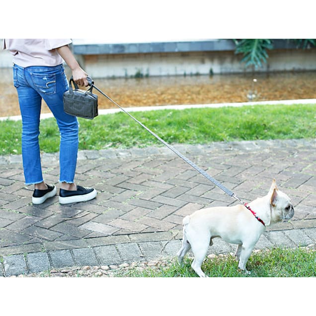 Dog leash accessory bag deals