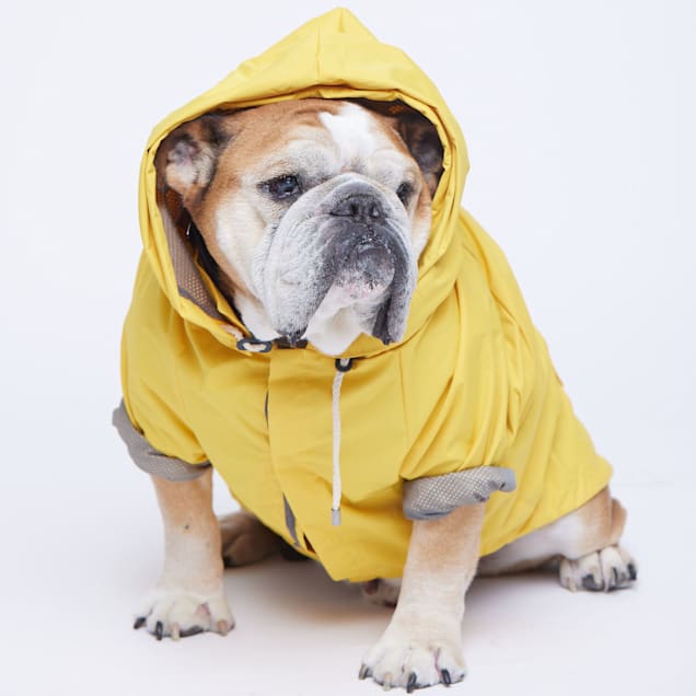 maxbone Talon Raincoat Dog Jacket Small Petco