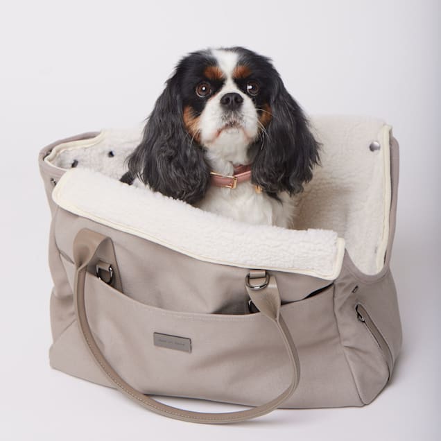 Dog satchel deals carrier