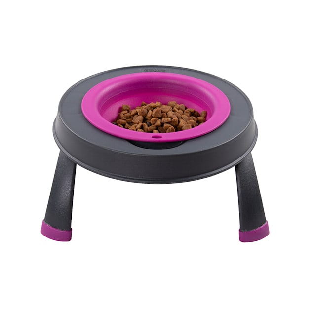 Petco elevated dog bowls clearance
