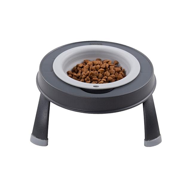 Dexas Light Gray Single Elevated Feeder for Dogs 1.5 Cups Petco